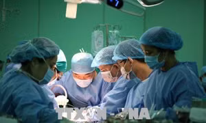 Thêm một cơ sở y tế thực hiện thành công kỹ thuật ghép gan từ người cho sống