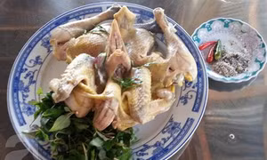 Gà đèo Le - đặc sản gây thương nhớ của Quảng Nam