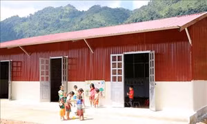 Bản Sáng Tùng hồi sinh sau thiên tai
