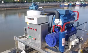 Hiệu quả kinh tế cao nhờ ứng dụng máy làm đá tuyết từ nước biển