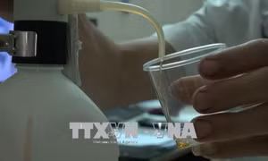Sơn La: Nhiều người nghiện ngừng tham gia điều trị bằng Methadone