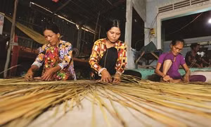 Đan Cỏ Bàng – nghề giúp nhiều hộ Khmer thoát nghèo