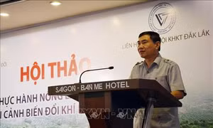 Thực hành nông lâm kết hợp trong bối cảnh biến đổi khí hậu ở Tây Nguyên