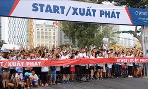 Hơn 24.000 người tham gia chạy bộ gây quỹ nghiên cứu ung thư