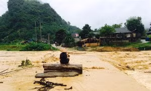 Thanh Hóa: Mưa lớn khiến 8 bản ở huyện miền núi Quan Sơn bị cô lập hoàn toàn