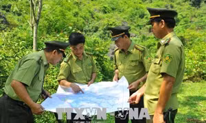 Những hình ảnh về nỗi nhọc nhằn của kiểm lâm bám địa bàn Hoa Lư - Gia Viễn
