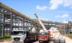 Nhà máy Alumin Nhân Cơ Đắk Nông đạt công suất thiết kế trước thời hạn