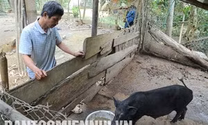 Bí thư Chi bộ Lo Xuân Tình tận tụy với đồng bào Ơ Đu