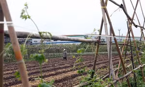 Phụ nữ Đồng Nai nói không với “rau hai luống, lợn hai chuồng”
