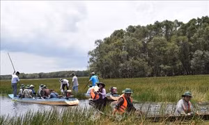 Ramsar Tràm Chim vào mùa nước nổi