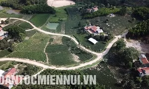 Tìm đầu ra cho nông sản Bắc Giang