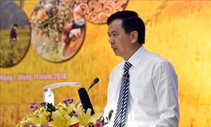Tạo liên kết vùng khu vực Tây Bắc thu hút đầu tư và hội nhập