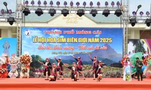 Độc đáo, đặc sắc Lễ hội Hoa sim biên giới 2025