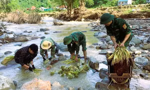 Thắm tình quân dân sau lũ quét nơi vùng cao biên giới Nghệ An