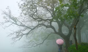Hồ Gươm như một bức tranh trong sương