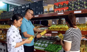OCOP - Khi hai vùng đất chung một hành trình phát triển