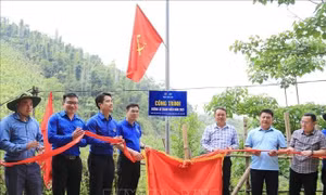Cơ hội để thanh niên phát huy tinh thần xung kích, sáng tạo