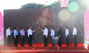 Đưa tri thức số, kỹ năng số và công nghệ số đến với từng người dân