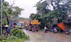 Tuyên Quang: Mưa dông làm 42 ngôi nhà bị hư hỏng