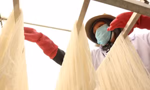 Làng miến Chi Lăng “sáng đèn” chạy đơn hàng Tết