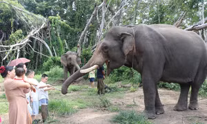 Kết nối du lịch biển đảo với văn hóa đại ngàn Tây Nguyên