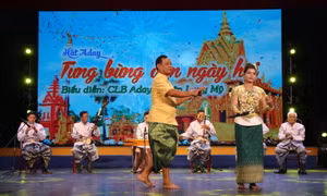 Tiết mục xuất sắc của dân tộc Khmer trình diễn tại liên hoan. Ảnh: Nguyễn Hằng - TTXVN