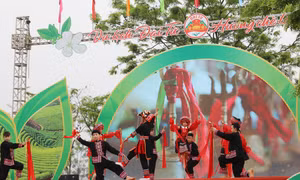 Trình diễn nghệ thuật dân tộc tại chương trinh. Ảnh: Hoàng Nguyên - TTXVN