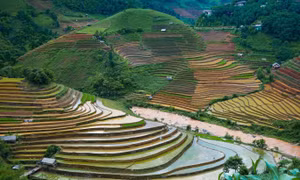 Lung linh ruộng bậc thang mùa nước đổ ở Mù Cang Chải