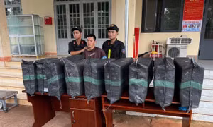 Bắt giữ xe bán tải chở hơn 200kg pháo