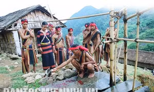 Lễ cúng máng nước của dân tộc Xê-đăng. Ảnh: Trần Tấn