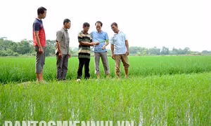Lý Quờn - Tỷ phú Khmer sản xuất giỏi