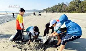 Huyện đảo Cô Tô kêu gọi công ty lữ hành và du khách nói không với rác thải nhựa