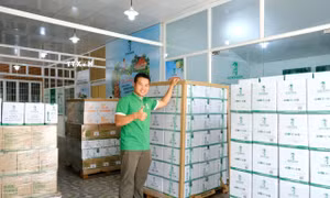 Lô hàng mật hoa dừa hữu cơ chuẩn bị xuất khẩu sang Úc. Ảnh: TTXVN phát
