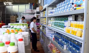 Quản lý chặt chẽ thuốc thú y có chứa chất ma túy