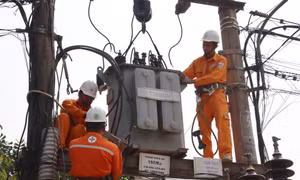 Công ty Điện lực Quảng Bình triển khai kiểm tra, sửa chữa mạng lưới điện. Ảnh: TTXVN phát 