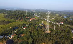 Các dự án đường dây 500 kV mạch 3 từ Quảng Trạch (Quảng Bình) đến Phố Nối (Hưng Yên) có ý nghĩa quan trọng nhằm đảm bảo điện cho miền Bắc trong những năm tới. Ảnh: Huy Hùng - TTXVN 