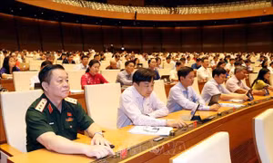 Các đại biểu Quốc hội biểu quyết thông qua Nghị quyết về miễn thuế sử dụng đất nông nghiệp với 95,24% số đại biểu tán thành. Ảnh: TTXVN
