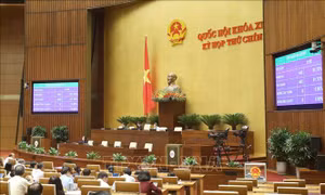 Kết quả miễn nhiệm chức vụ Ủy viên Ủy ban Thường vụ Quốc hội đối với bà Nguyễn Thanh Hải. Ảnh: Doãn Tấn - TTXVN