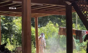 Khống chế ổ dịch bạch hầu ở Thanh Hóa