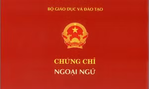 Mẫu chứng chỉ ngoại ngữ. Ảnh : ttnn.mta.edu.vn