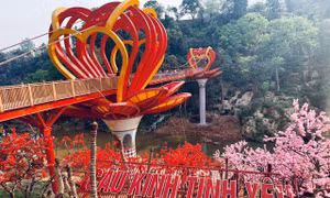 Cầu kính. Ảnh : dulichmocchau.org 