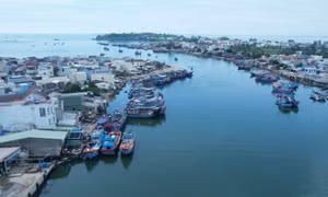 Khu vực mặt nước cảng Sa Kỳ đang bị tàu cá chiếm dụng làm nơi neo đậu gây mất an toàn cho các tàu cở khách du lịch ra vào huyện Lý Sơn. Ảnh: TTXVN phát