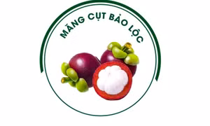 Măng cụt Bảo Lộc được cấp nhãn hiệu độc quyền