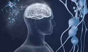 ĐH Columbia (Mỹ) nghiên cứu não người mắc COVID-19 và người bị Alzheimer - Ảnh: ANI 