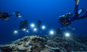 Các nhà khoa học nghiên cứu rạn san hô ở ngoài khơi đảo Tahiti, phía Nam Thái Bình Dương. Ảnh: nieuwsblad.be