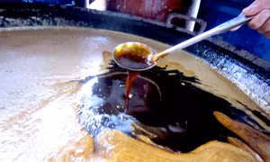 Mật mía đã trở thành sản phẩm đặc trưng, truyền thống của huyện Thạch Thành vào mỗi dịp Tết Nguyên đán.Ảnh : baothanhhoa.vn 