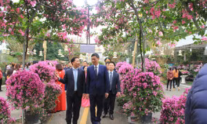 Hà Nội tổ chức Lễ hội hoa Mê Linh năm 2022 - “Mê Linh rực rỡ sắc hoa" trong 3 ngày từ 9 - 11/12 tại Di tích Quốc gia đặc biệt Đền Hai Bà Trưng. Ảnh: Nguyễn Tuyền