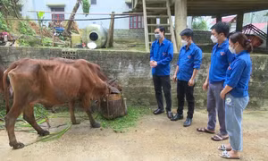 Tạo nguồn, phát triển đảng viên tại khu vực miền núi khó khăn tỉnh Thanh Hóa 