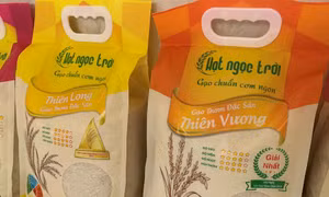 Gạo Hạt Ngọc Trời của tập đoàn Lộc Trời, tỉnh An Giang, được trồng trên vùng nguyên liệu theo quy trình khép kín từ khâu gieo trồng, chăm sóc đến khi thu hoạch và chế biến, đạt tiêu chuẩn HACCP châu Âu. Ảnh: angiang.gov.vn 