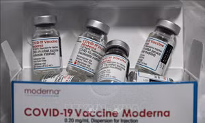Vaccine ngừa COVID-19 của Moderna. Ảnh: AFP/TTXVN